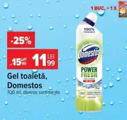 Carrefour Gel toaletă, Domestos Ofertă