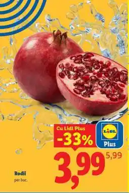 Lidl Rodii Ofertă