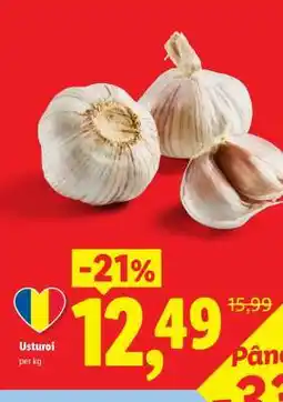 Lidl Usturoi Ofertă