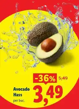 Lidl Avocado Hass Ofertă