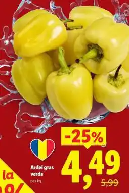Lidl Ardei gras verde Ofertă