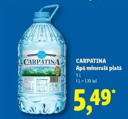 Lidl Carpatina Apă minerală plată Ofertă