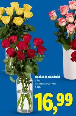 Lidl Buchet de trandafiri Ofertă