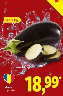 Lidl Vinete Ofertă