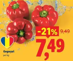 Lidl Gogoșari Ofertă