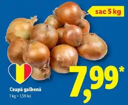 Lidl Ceapă galbenă Ofertă