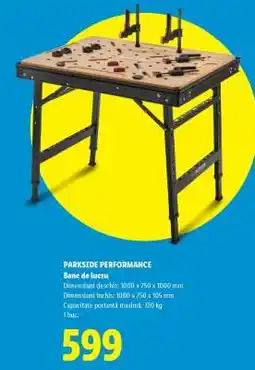 Lidl PARKSIDE PERFORMANCE Ofertă
