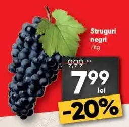 PROFI Struguri negri Ofertă