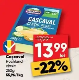 PROFI Hochland cascaval clasic Ofertă