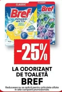PROFI Bref odorizant de toaletă Ofertă