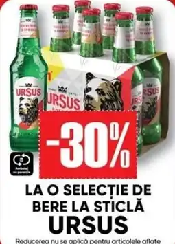 PROFI Ursus bere la sticlă Ofertă