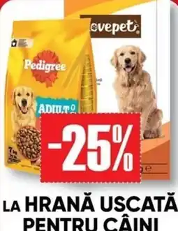 PROFI Pedigree hrană uscată pentru câini adult Ofertă