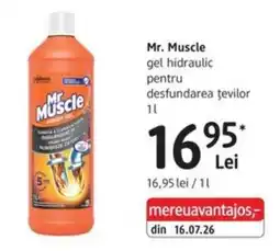 DM Mr Muscle gel hidraulic pentru desfundarea țevilor Ofertă
