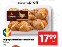 PROFI Grătar pulpe pui inferioare marinate Ofertă