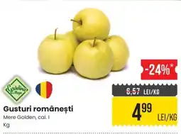 Mega Image Grădina Mega Gusturi românești Ofertă