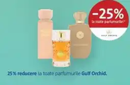 DM Gulf Orchid parfumuri Ofertă