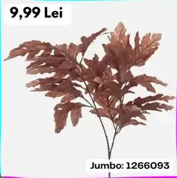 Jumbo Jumbo Ofertă