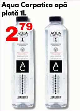Global Aqua Carpatica apă plată Ofertă