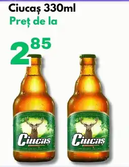 Global Ciucas Ofertă