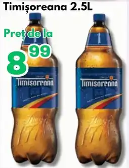 Global Timișoreana Ofertă