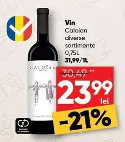PROFI Vin Caloian Ofertă