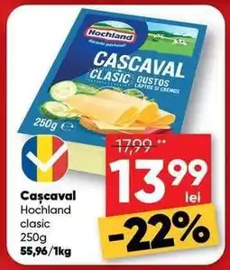 PROFI Cașcaval Hochland clasic 250g Ofertă