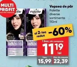 PROFI Vopsea de păr Palette Ofertă