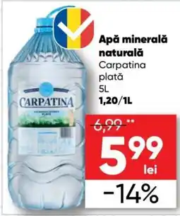 PROFI Carpatina apă minerală naturală plată Ofertă