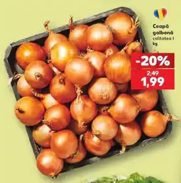 Kaufland Ceapă galbenă Ofertă