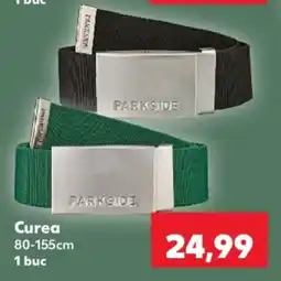 Kaufland Parkside curea Ofertă