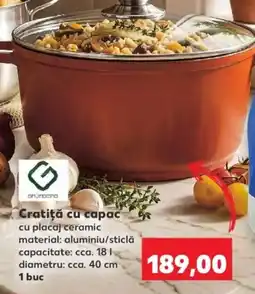 Kaufland Grundig cratiță cu capac Ofertă