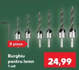 Kaufland Burghiu pentru lemn Ofertă