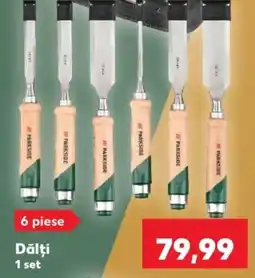 Kaufland Parkside Dălți Ofertă