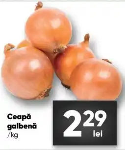 PROFI Ceapă galbenă Ofertă