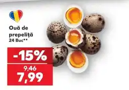 Kaufland Ouă de prepeliță Ofertă
