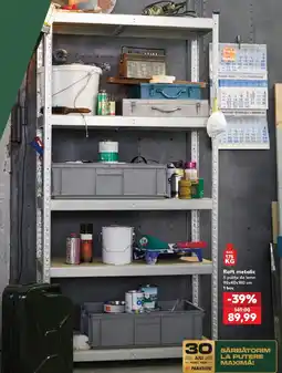 Kaufland Parkside raft metalic Ofertă