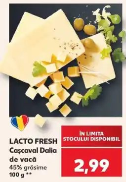 Kaufland Lacto Fresh Cașcaval Dalia de vacă Ofertă