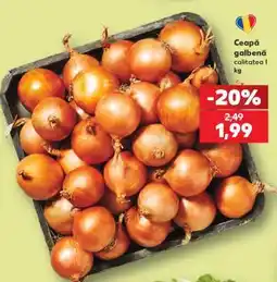Kaufland Ceapă galbenă Ofertă