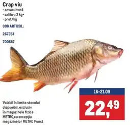 Metro Crap viu Ofertă
