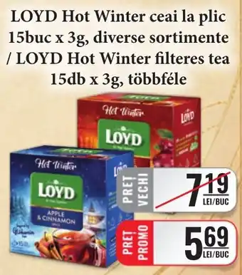 Loyd hot winter ceai la plic
