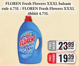 CBA Floren fresh flowers xxxl balsam rufe Ofertă