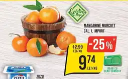 Mega Image Grădina Mega mandarine murcott Ofertă