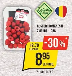Mega Image Grădina & Mega gusturi românești zmeură Ofertă