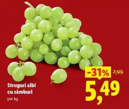 Lidl Struguri albi cu sâmburi Ofertă