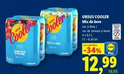 Lidl Ursus Cooler Mix de bere Ofertă
