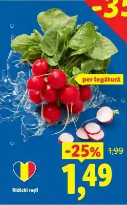 Lidl Ridichi roşii Ofertă