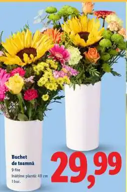 Lidl Buchet de toamnă Ofertă