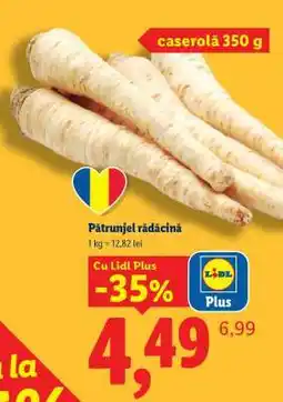 Lidl Pătrunjel rădăcină Ofertă