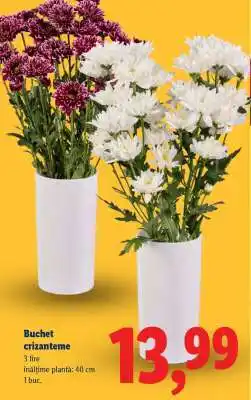 Lidl Buchet crizanteme Ofertă