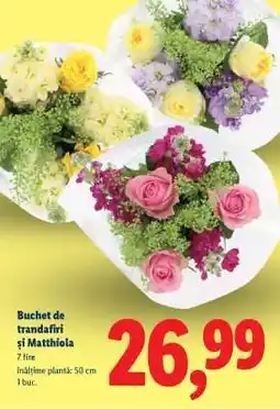 Lidl Buchet de trandafiri și Matthiola Ofertă